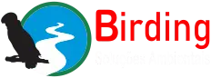 birding consultoria ambiental logo rodape