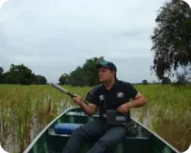 turismo ornitológico manaus 2